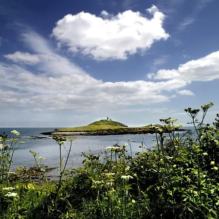 No 6 By Trident Homes