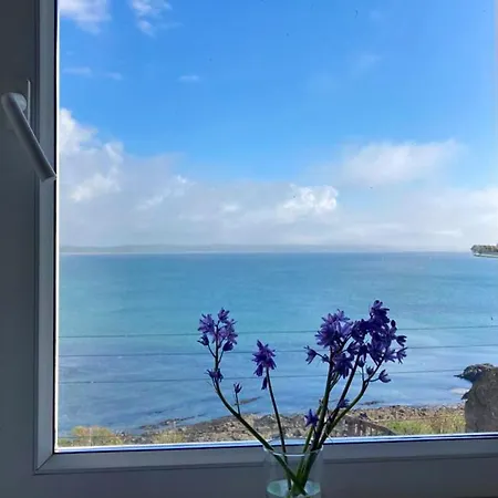 No 6 By Trident Homes